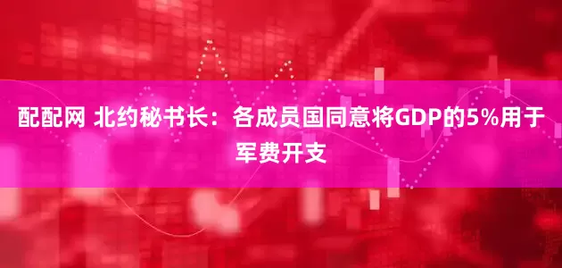 配配网 北约秘书长：各成员国同意将GDP的5%用于军费开支
