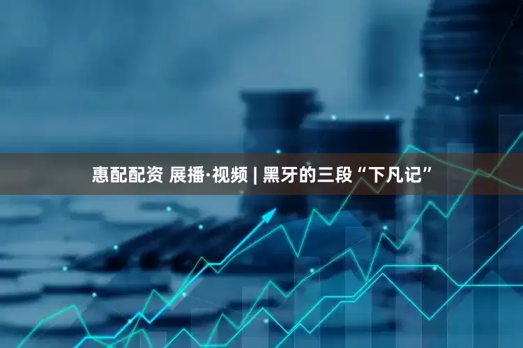 惠配配资 展播·视频 | 黑牙的三段“下凡记”